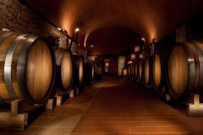 Valpolicella Lunch or Dinner Wine & Food tasting with Amarone - Valpolicella basics: why this Amarone-focused tasting works