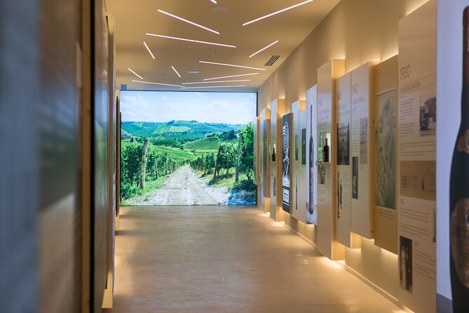 Valpolicella Wine Experience at Montresor winery - Quick Highlights You’ll Actually Care About