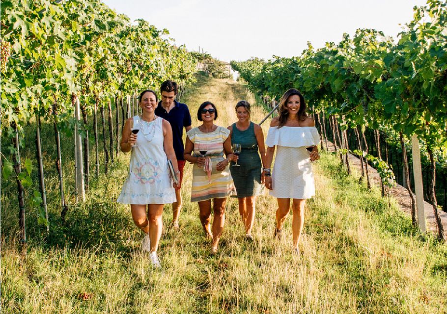 Verona: Vineyard and Winery Tour with Wine Tasting - 17th-century cellar and the rural house visit