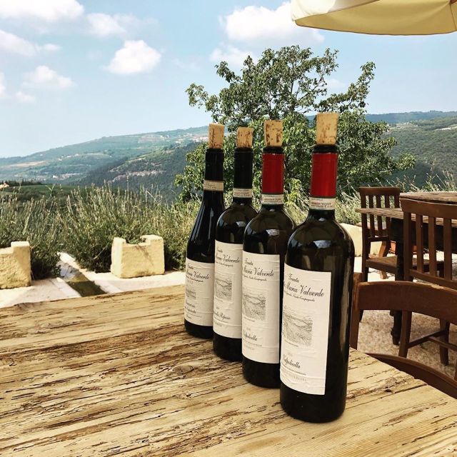 Verona: Vineyard and Winery Tour with Wine Tasting - How the guides make it feel real (and not rehearsed)