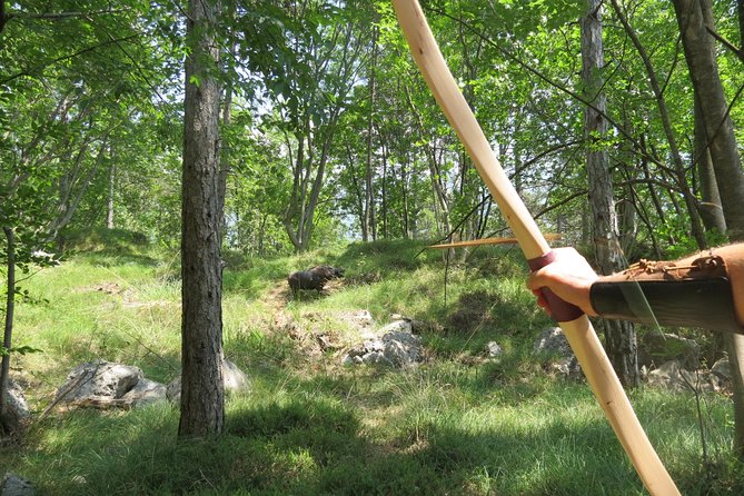 Wild Experience - Key things to know before you go