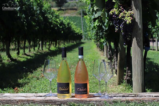 Wine and Food Tasting in the Vineyards in Lazise - The Food Pairing: Salami, Cheese, Bruschetta, and Garda Olive Oil