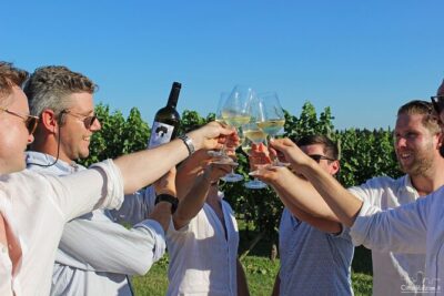Wine and Food Tasting in the Vineyards in Lazise - Meet Marco and Barbara: Learning the Wine Story Without the Snobbery