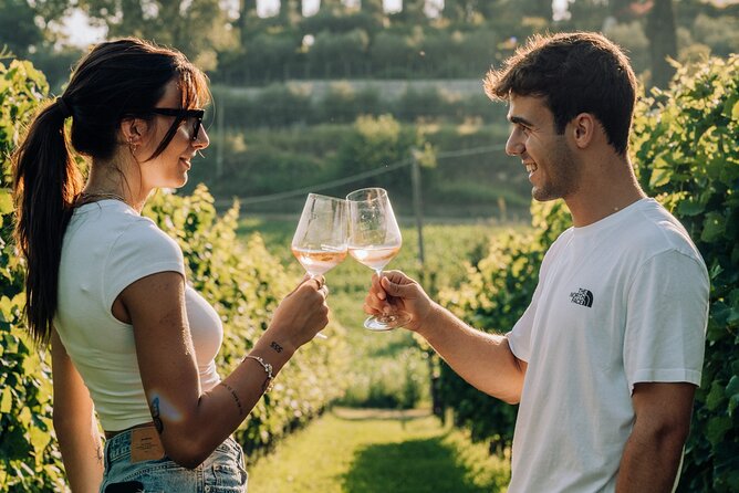 Wine and Food Tasting in the Vineyards in Lazise - The Vineyard Walk: Views, Photos, and a Real Sense of Place