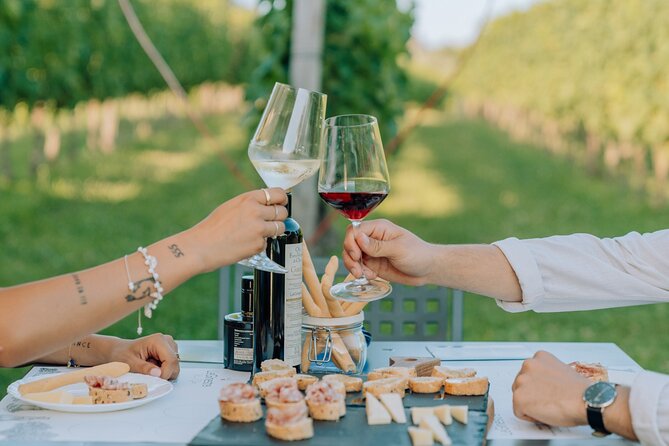 Wine and Food Tasting in the Vineyards in Lazise - Price and Value: What You’re Really Paying For