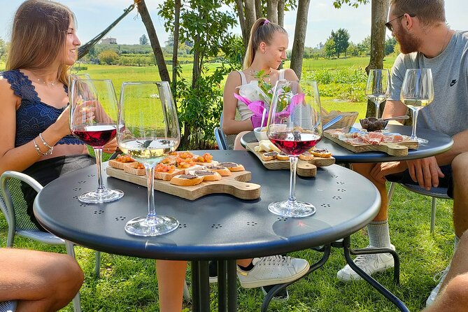 Wine Tasting with Local Food in Lazise Countryside - Who this tasting is best for (and who may want a different plan)