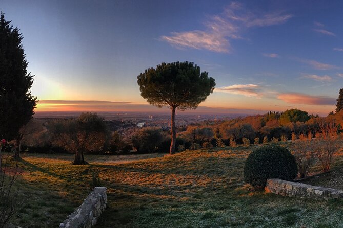 Wine Tasting with Panoramic View of Verona - Cantina Giovanni Ederle Vineyard Walk: Why the Before-Drink Part Matters