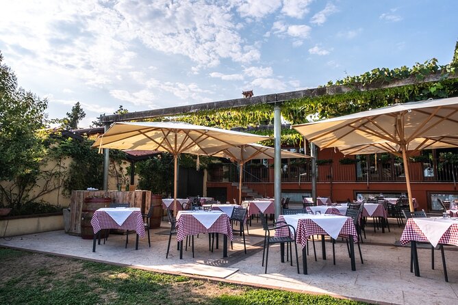 Wine Tasting with Panoramic View of Verona - Who Should Book This Verona Wine Tasting (and Who Might Feel Mismatched)