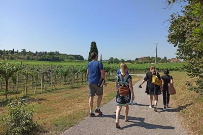 Winery Tour and Tasting of Garda Wines in Lazise - Your 2-Hour Plan at Bergamini: Vineyards, Cellar, Tasting Room