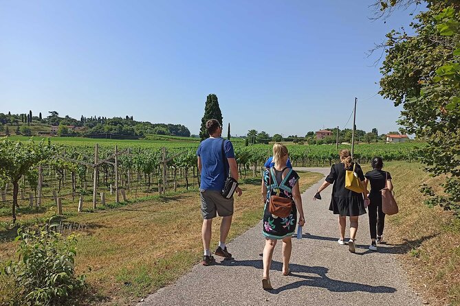 Winery Tour and Tasting of Garda Wines in Lazise - Your 2-Hour Plan at Bergamini: Vineyards, Cellar, Tasting Room